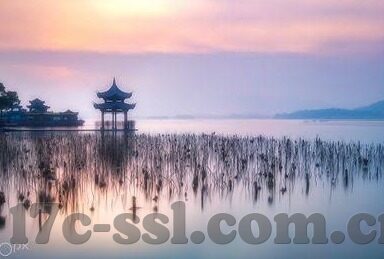 国产在线成人视频-国产在线成人视频，文化、伦理与发展的多维视角