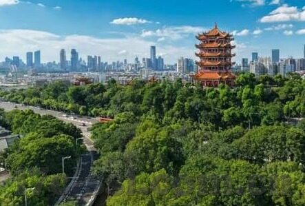麻豆传媒视频合集-麻豆传媒视频合集，创意与文化的交汇之点
