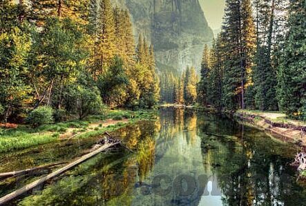 麻豆视频在线-麻豆视频在线，数字媒体时代的内容探索与数字体验