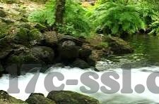 麻豆速约app安卓-麻豆速约——一款革新安卓市场的社交应用